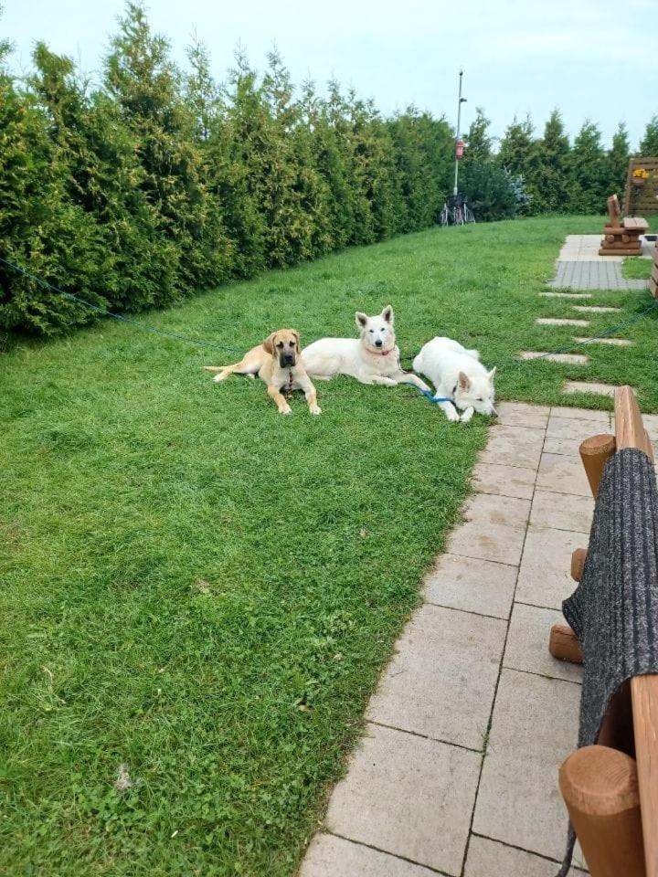 Domki Pod Brzozami Sarbinowo Luaran gambar